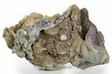 Purple and Green Botryoidal Grape Agate - Indonesia #324241-2